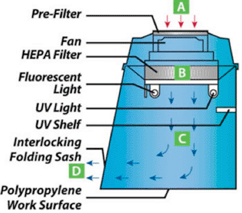 Image: My-PCR Workstation - how it works: Laboratory air is pulled into MY-PCR workstation at “A” and then forced through the HEPA filter at “B.” Smooth and even Class 100 laminar flow air enters the work area at “C” and then exits the workstation at “D” (Photo courtesy of Mystaire Misonix).